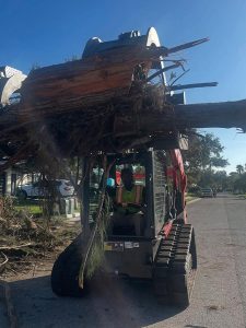 Junk & Debris Removal